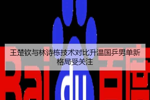 王楚钦与林诗栋技术对比升温国乒男单新格局受关注